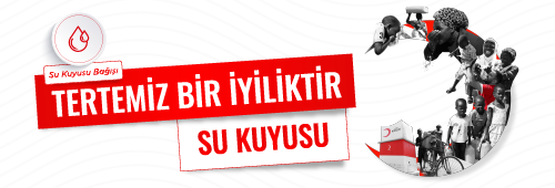 Filistin Bağışı